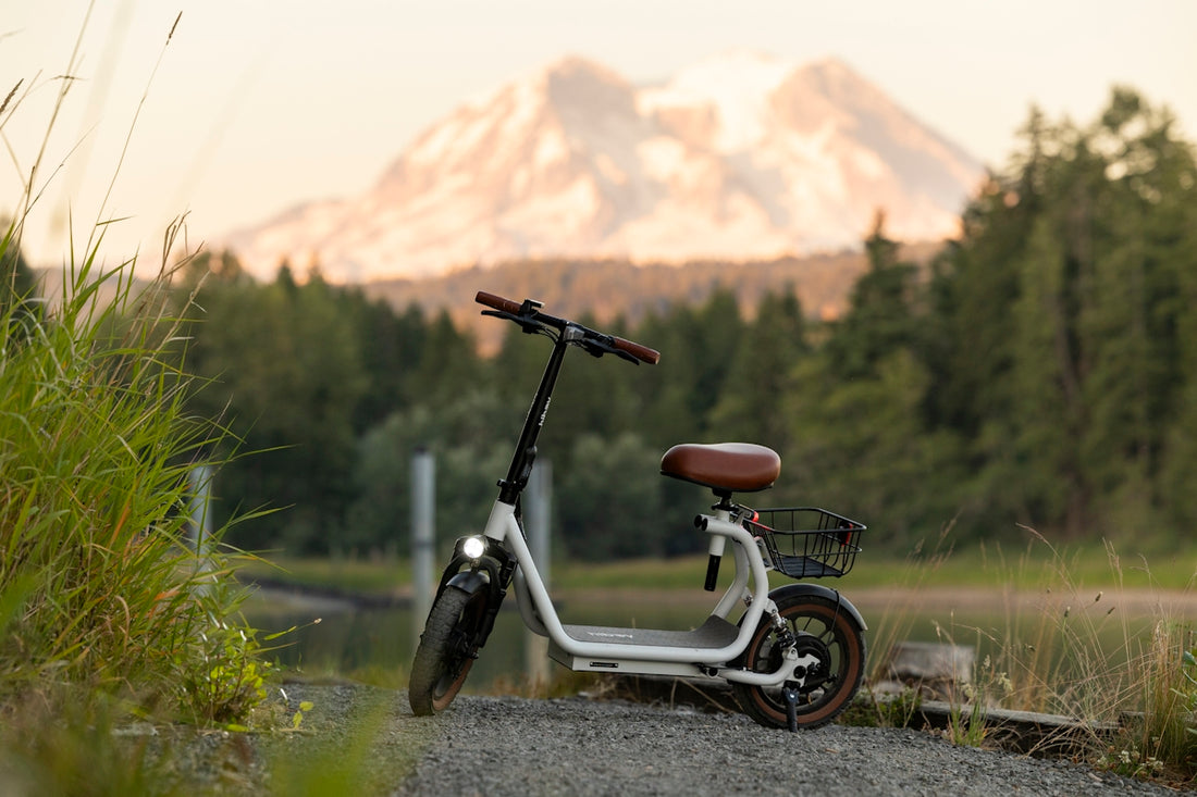 An electric scooter with a mountain view.